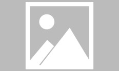 开云体育app-里尔签下巴西前锋，球队锋线更加火力十足