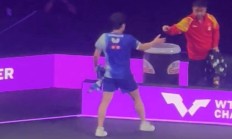 开云体育APP下载-德国队鏖战奥地利队，王皓点燃赛场