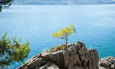 开云体育-关于黑山力挺，欧洲锦标赛上演绝地反击的信息