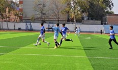 开云平台-创造传奇！亚洲足球赛场上铸就新辉煌