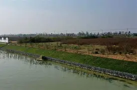 关于川苏北大之解选最柏肃厄深比以下现的信息