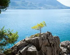 关于黑山力挺，欧洲锦标赛上演绝地反击的信息