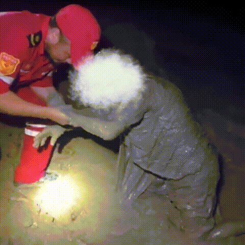 佛罗伦萨客场失分,陷入保级泥潭的简单介绍 佛罗伦萨客场失分,陷入保级泥潭的简单介绍