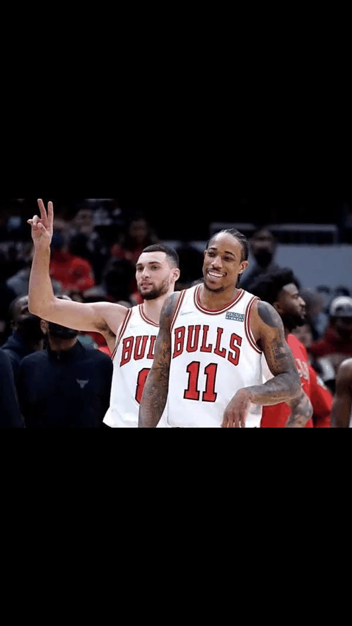 黄蜂擒公牛获得胜利