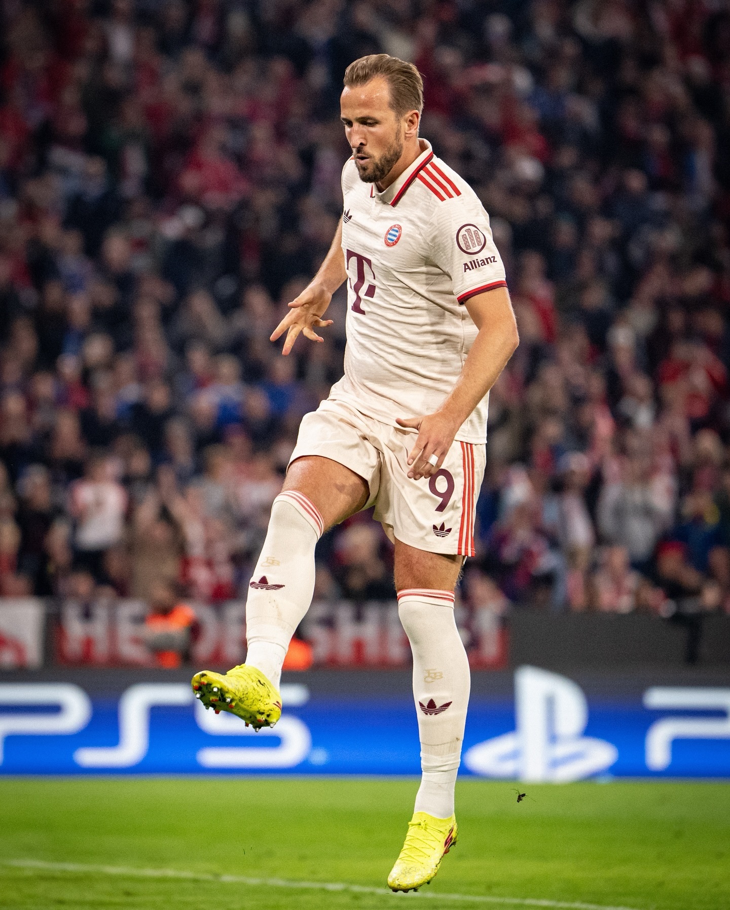 关于拜仁慕尼黑保不败信念，连续主场告捷的信息